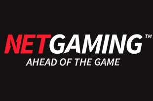 NetGaming